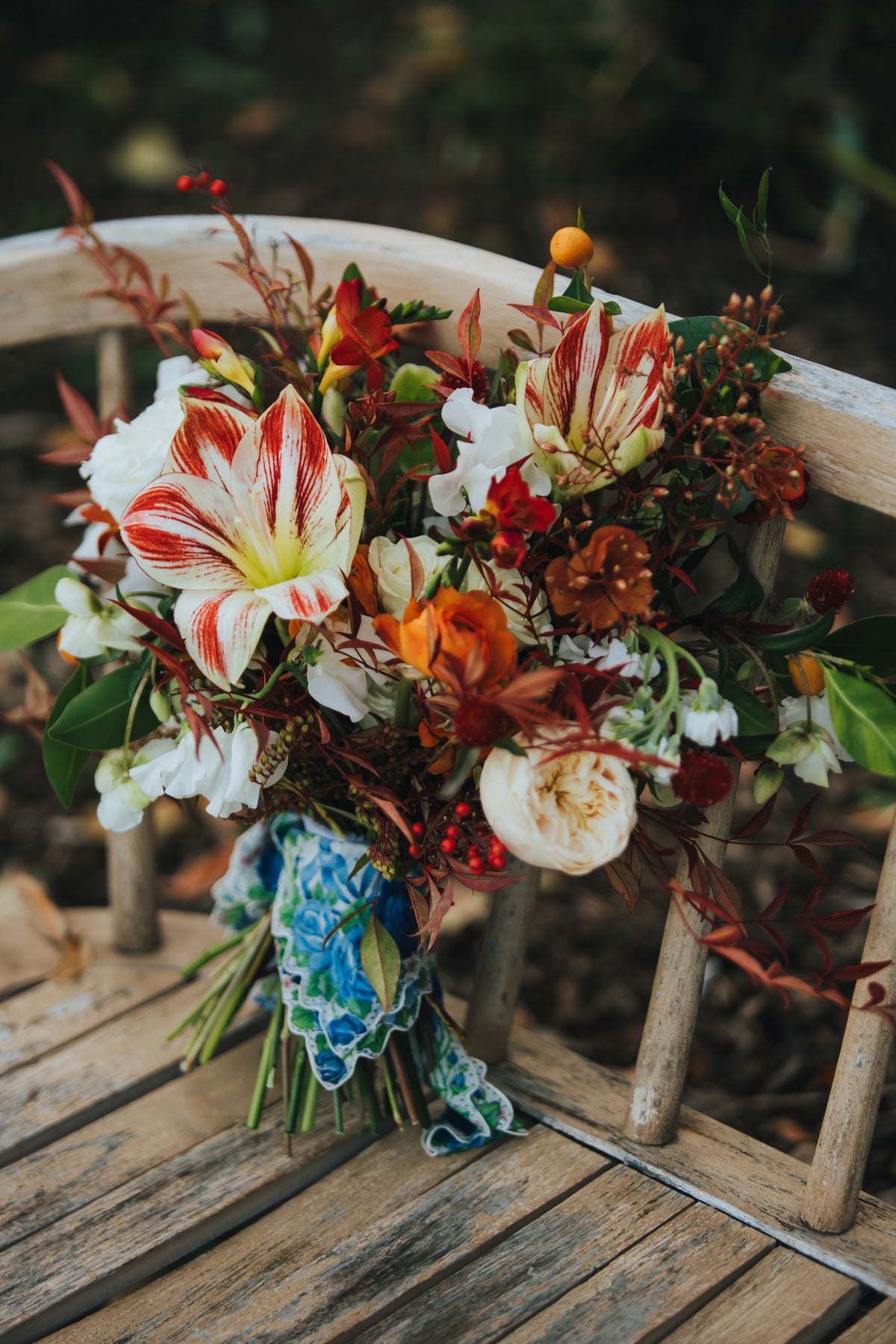 A rustic floral bouquet with red-and-white striped amaryllis flowers, white garden roses, orange ranunculus, and textural winter foliages, tied with a blue patterned ribbon and resting on a weathered wooden bench outdoors.