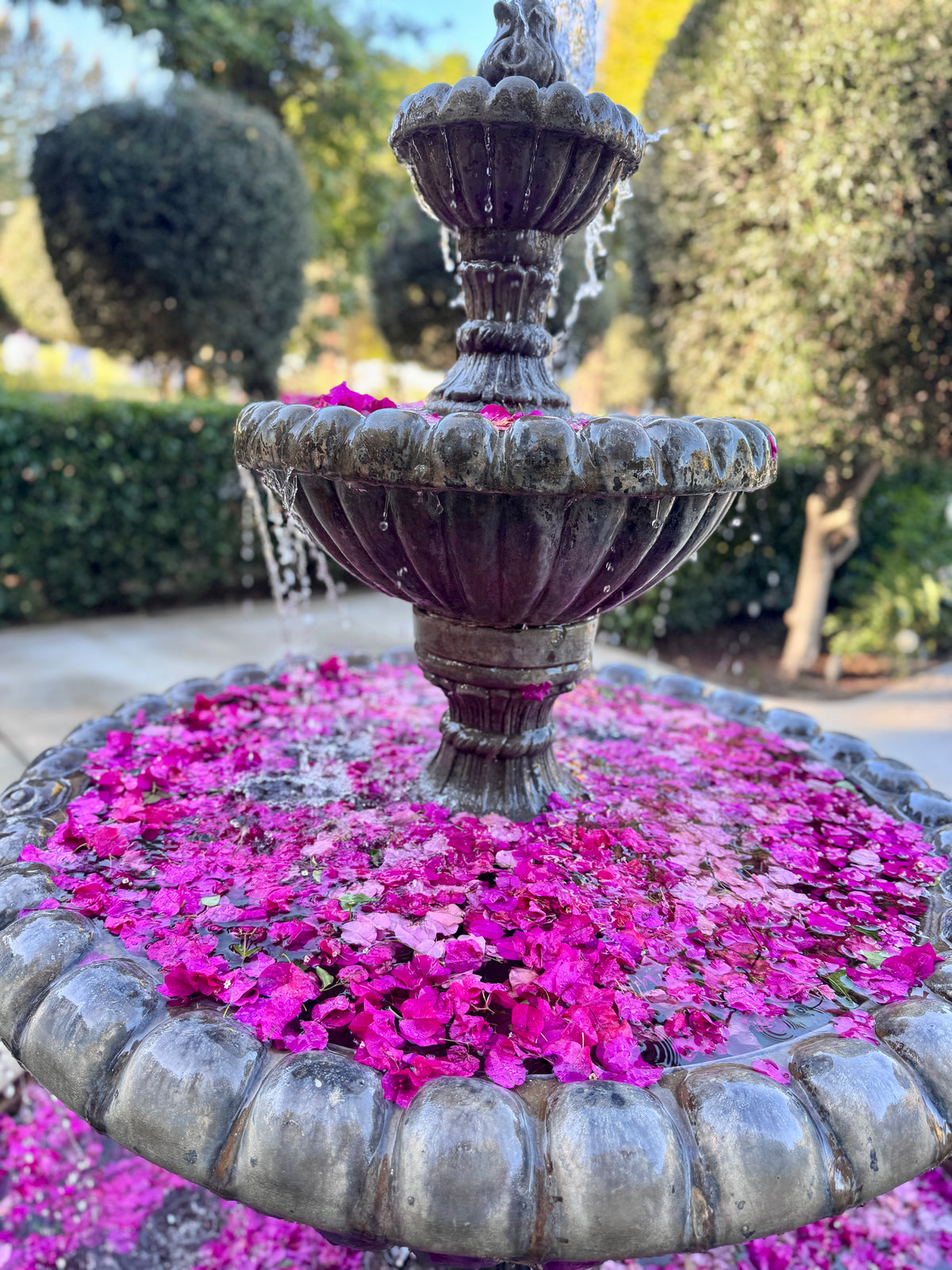 Flower Petals