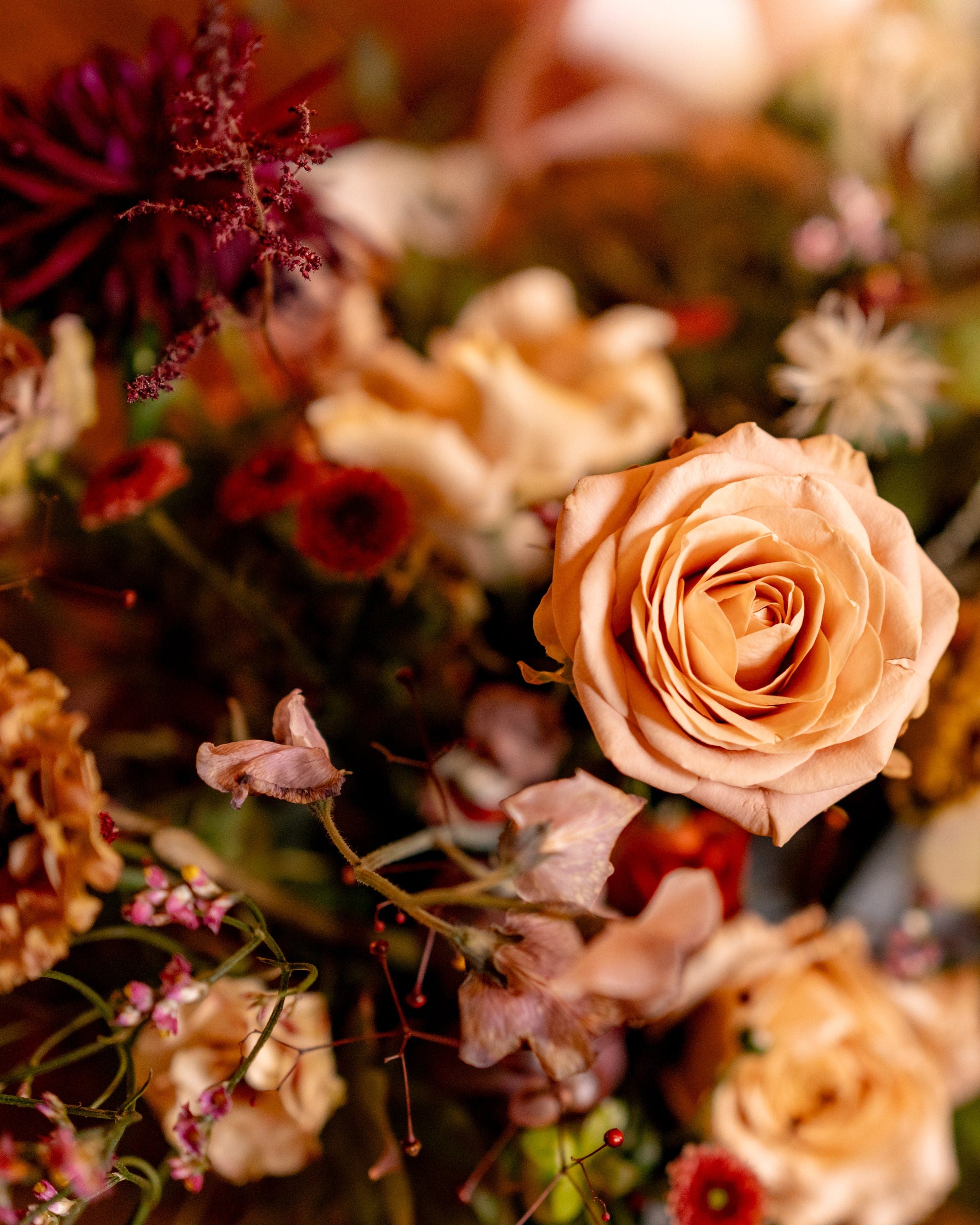 Close-up of a a fall colored palette of flowers with warm tones and textures
