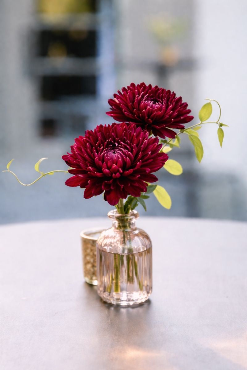 Mono Botanical Bud Vase