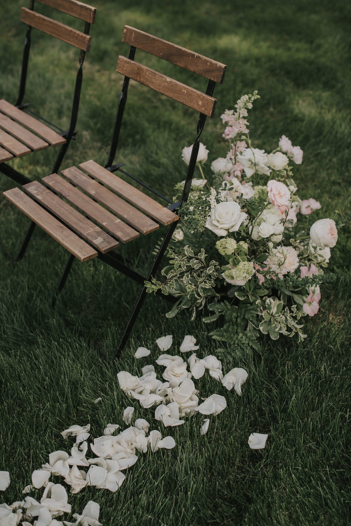 Flower Petals