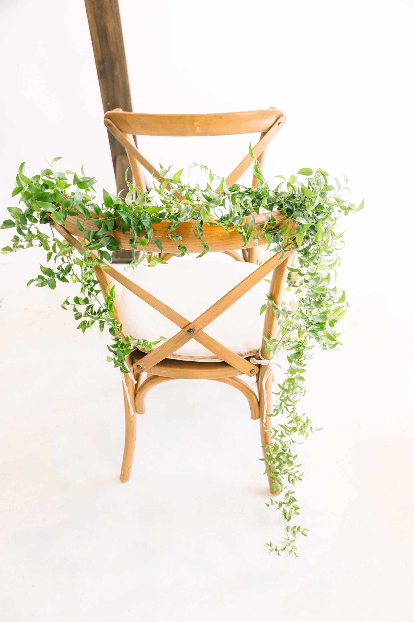 Whimsical Chair Greenery
